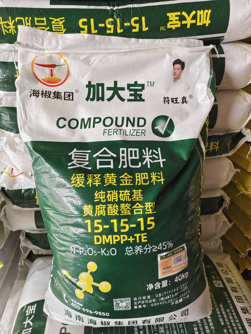 加大宝