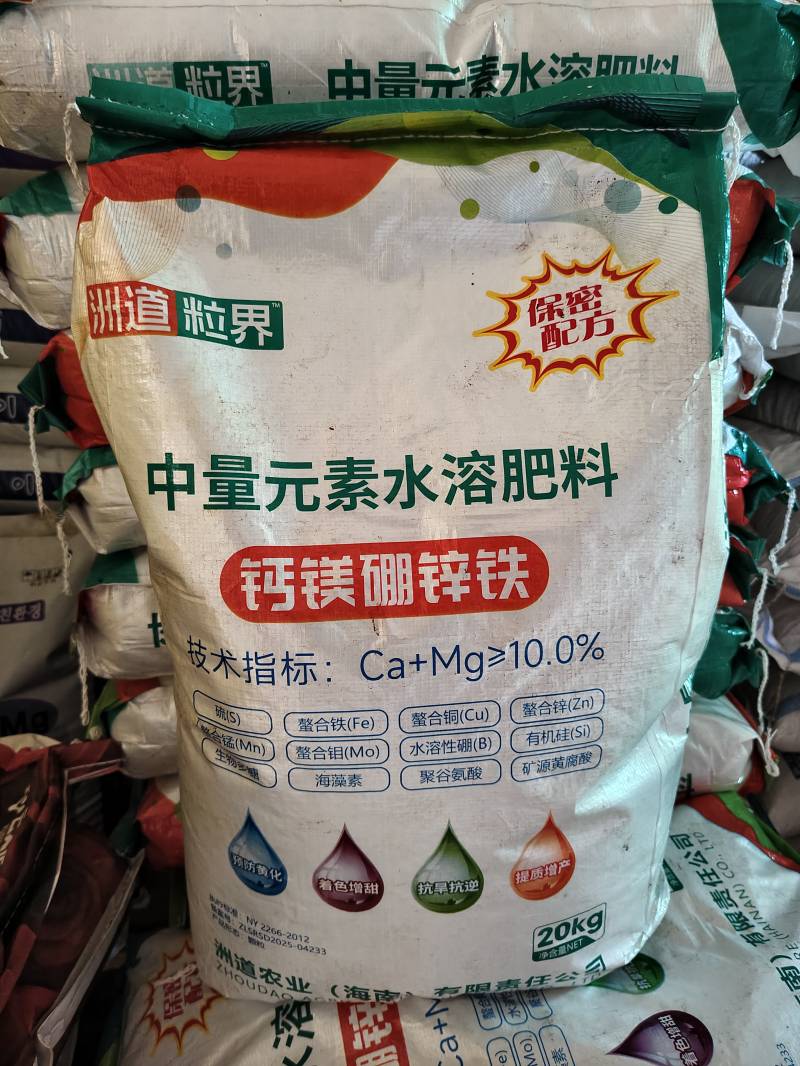洲道粒界