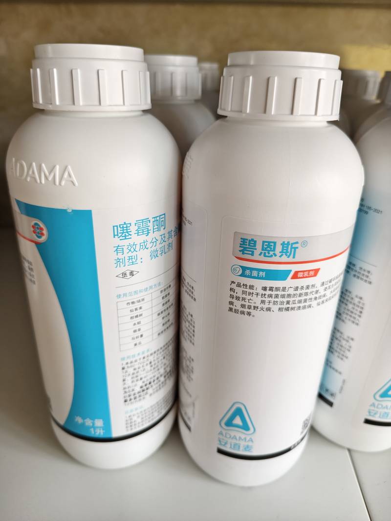 碧恩斯