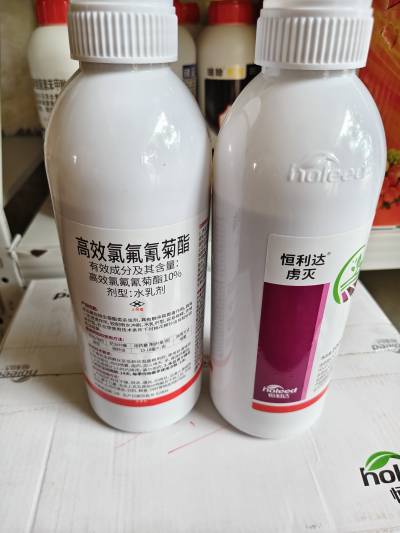 恒利达