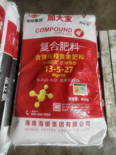加大宝